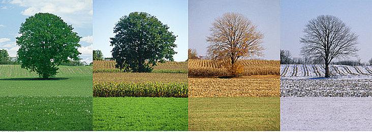 《七日杀》1.0测试版向所有玩家开放 正式版7月上线